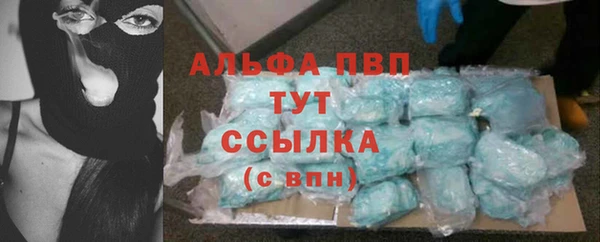 хмурый Алексин