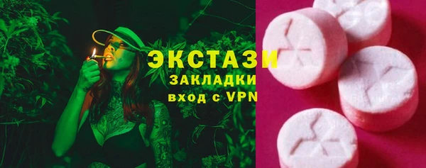 хмурый Алексин
