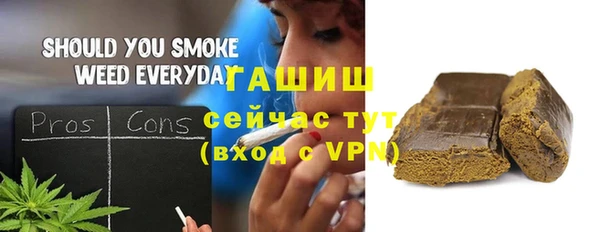 хмурый Алексин
