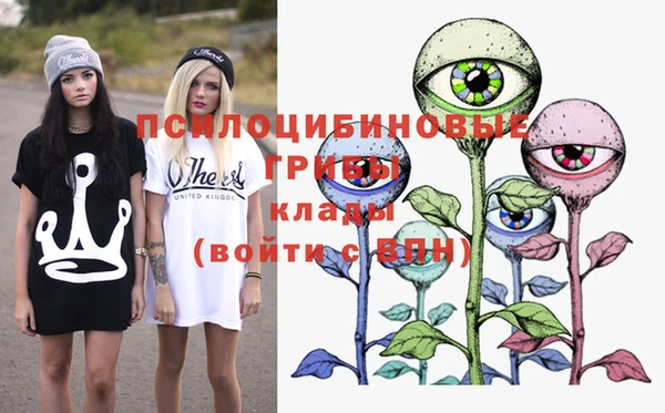 хмурый Алексин