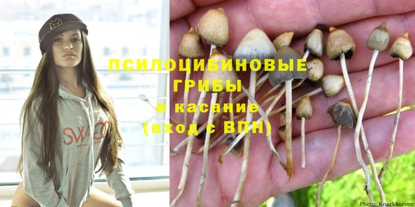 хмурый Алексин