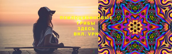 хмурый Алексин
