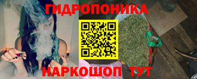 PSILOCYBIN Камышлов