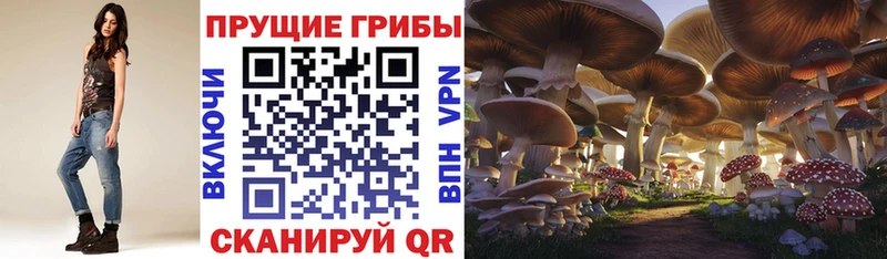 купить  сайты  Лабытнанги  Галлюциногенные грибы мицелий 