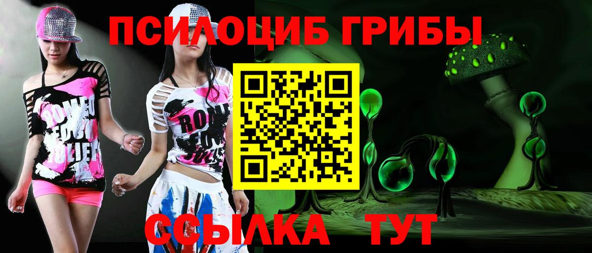 Псилоцибиновые грибы Psilocybe Лабытнанги
