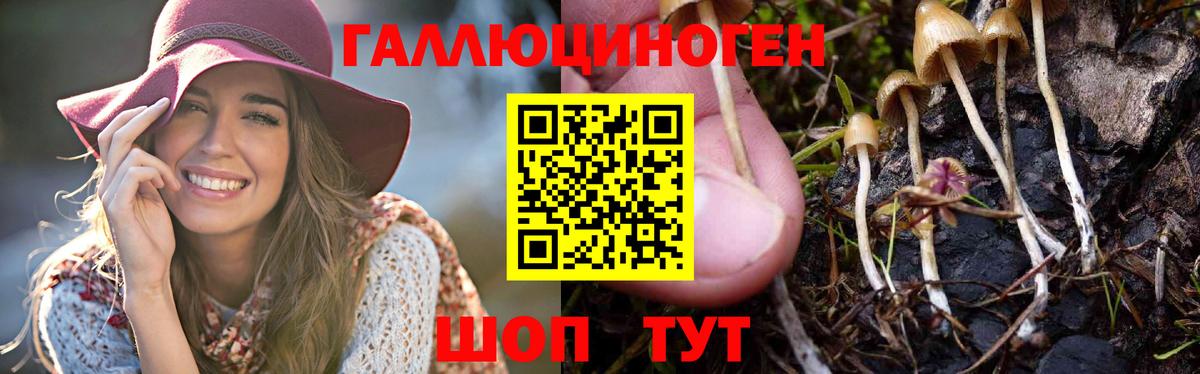 Лабытнанги  Галлюциногенные грибы Cubensis  где купить наркоту  Вход с VPN  Псилоцибиновые грибы Psilocybine cubensis 